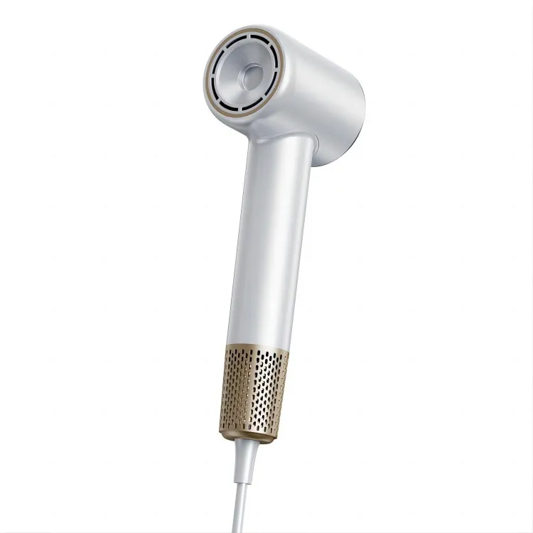 Profesyonel Kişiye Özel Saç Kurutma Makinesi